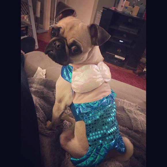 Meet your Posher, Andrea - Picture 2 of 3